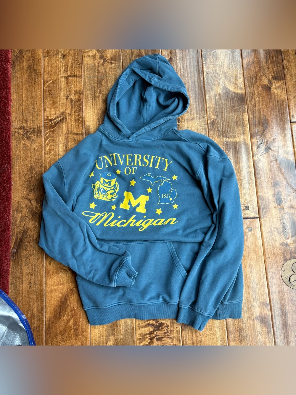 University of Michigan Hoodie